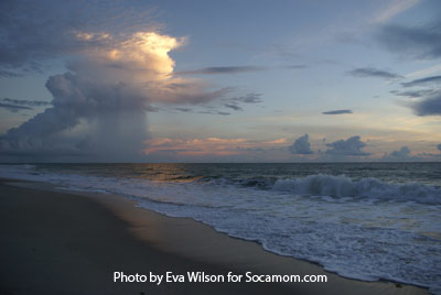 Don't forget your camera at Disney's Vero Beach Resort!