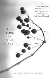 The Book of Tiny Prayers by Raegan Mathis