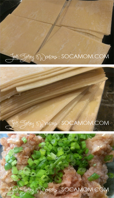 Jerk Turkey Wontons :: SocaMom.com